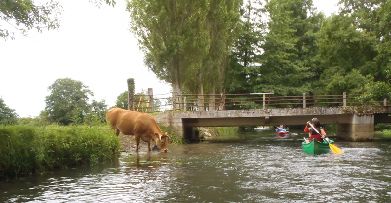 Animaux  Montviette Nature en Pays d'Auge