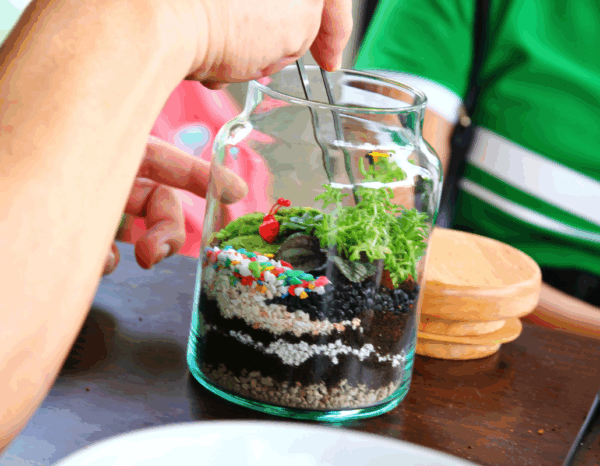 Fabrication d’un terrarium végétal