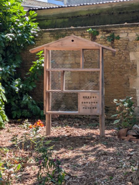 PXL_20250806_132108065