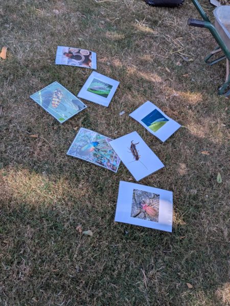 PXL_20250806_133606543