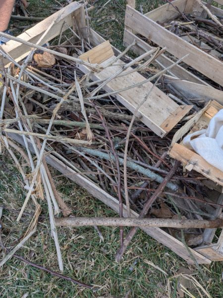 PXL_20250806_133719280