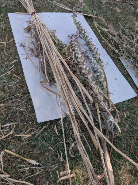 PXL_20250806_133723513