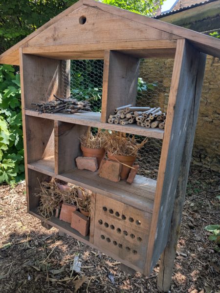 PXL_20250806_133759741