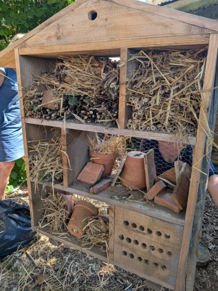 PXL_20250806_135653688.MP