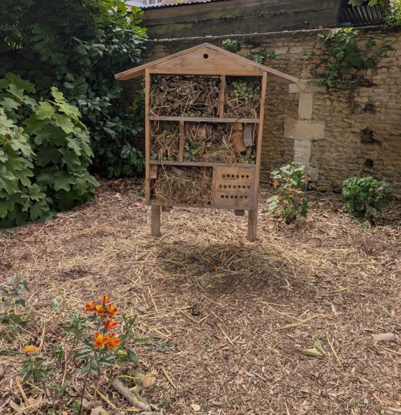 PXL_20250807_112740954