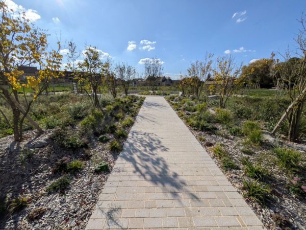 569740304_1233075148860906_1007785464244258897_n