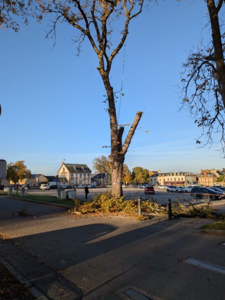 PXL_20251007_072650438.RAW-01.COVER