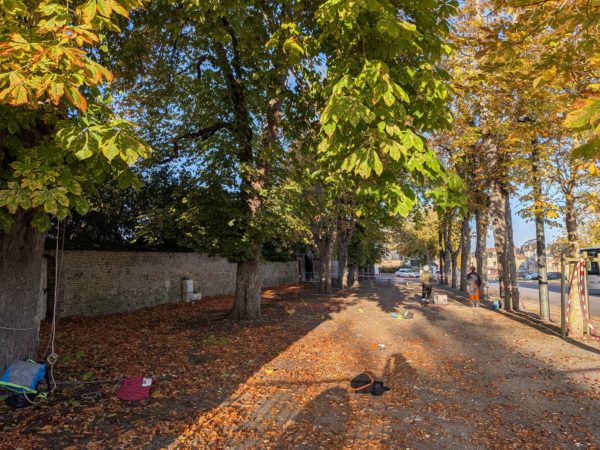 PXL_20251007_072905851.RAW-01.COVER