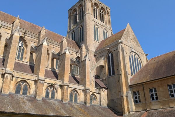 PXL_20250806_134047192 PXL_20250806_134047192