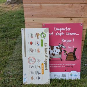 PXL_20260411_132109955.RAW-01