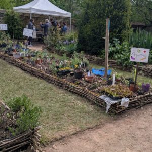 PXL_20260411_134347108.RAW-01.MP