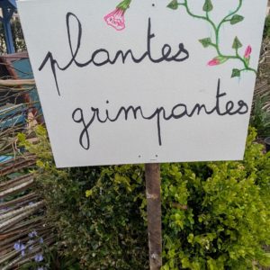 .trashed-1778667614-PXL_20260411_131539202.RAW-01