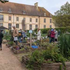 .trashed-1778667616-PXL_20260411_131223609.RAW-02.ORIGINAL