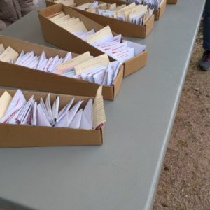 .trashed-1778667616-PXL_20260411_131304057.RAW-02.ORIGINAL