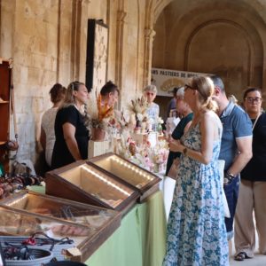 IMG_8599
