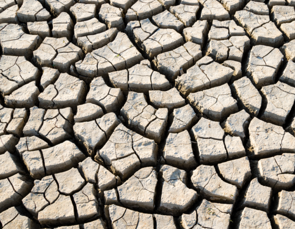 Sécheresse – reconnaissance état de catastrophe naturelle